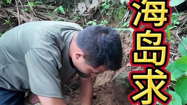 这个小伙在海岛求生遇到了台风，上山收集物资，还在海边搞到了一条英国货，快来看看发生了什么吧