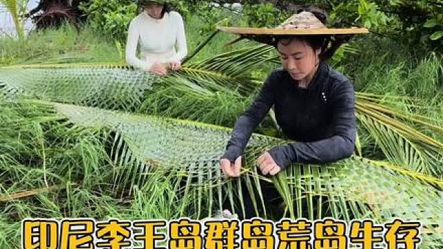 印尼李王岛群岛第三期荒岛生存挑战，面对突如其来的暴风雨，完善庇护所，想方设法获取食物