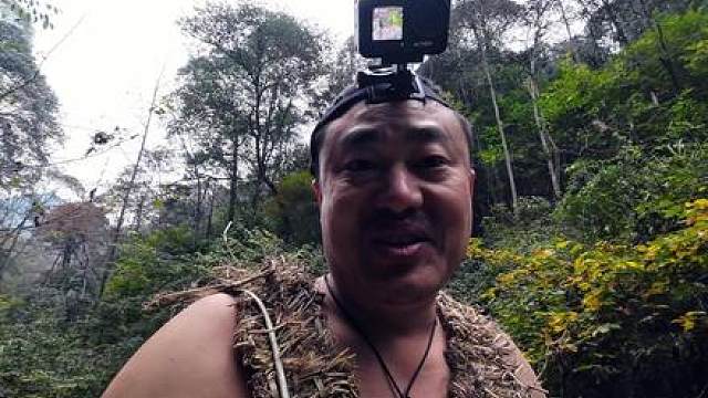 炮制野芋震鱼鲜 野外生存发现大量野芋，石头震鱼，处理野芋头，竹筒炖鱼汤