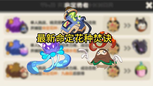 【洛克王国世界】最新单人通关命定花种焚诀