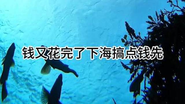 渔民海底赶海都能捞点啥海货之依旧老规矩开个海胆喂一下我的鱼儿 渔民海底赶海都能捞点啥海货之依旧老规矩开个海胆喂一下我的鱼儿粉丝