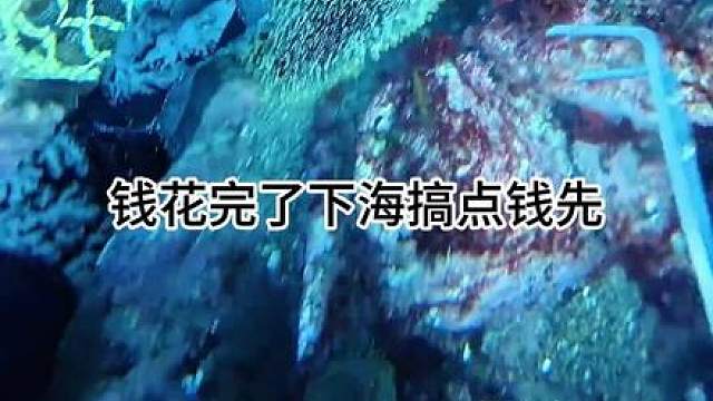 渔民海底赶海都能捞点啥海货之喂一下我的小鱼粉丝们还遇到闪现虾