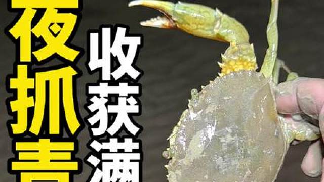 这里的水闸口最多青蟹抓了，今晚来碰碰运气，看我能抓到多少？