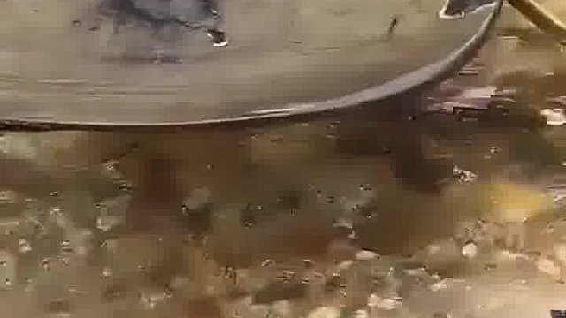 大哥这是干啥呢！