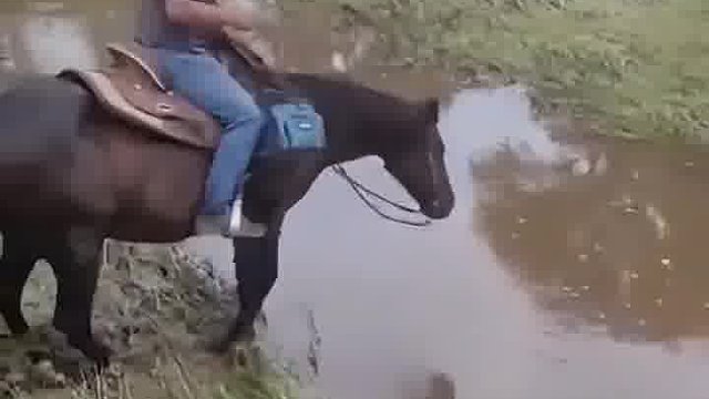 凡事不要看表面