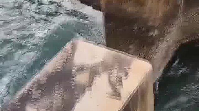 就没有钓鱼人到不了的地方