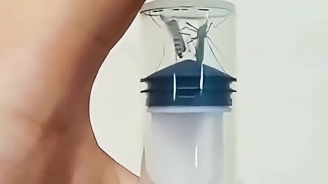 太残忍了，我一般剪一只翅膀就放生