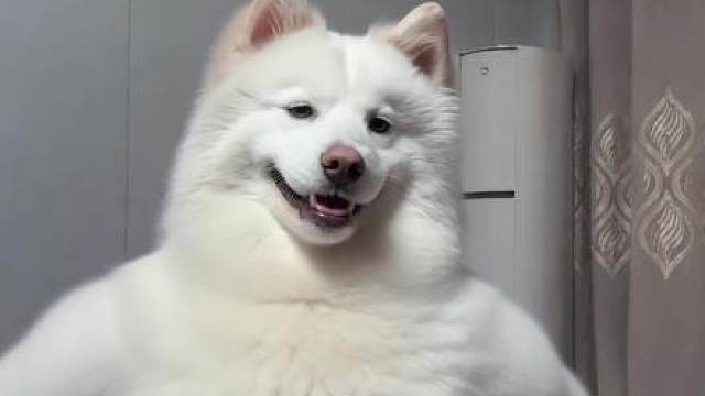 不简单，一点也不简单