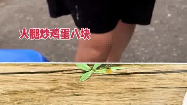 东北小饭馆 一百块钱点了十一个菜还都是大盘菜