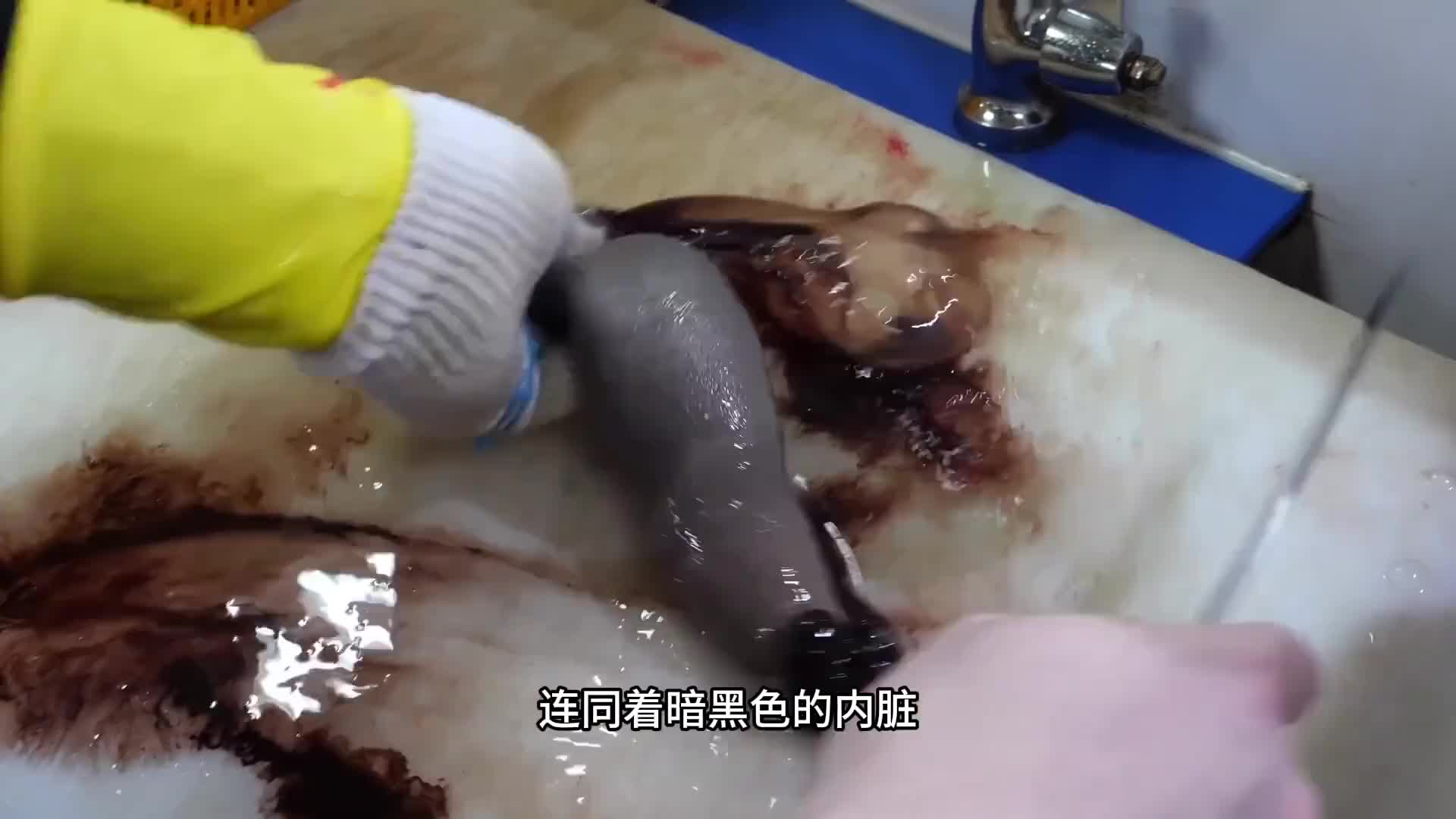 在南派三叔的小说中才能见到的一种生物，在现实中也干不过吃货。
