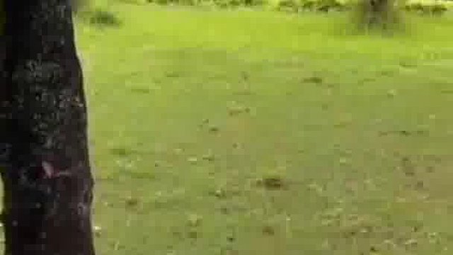 哎呦喂