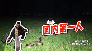 【蛇類科普蛇哥】國內(nèi)第一人