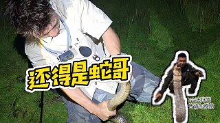 【蛇類(lèi)科普蛇哥】還得是蛇哥