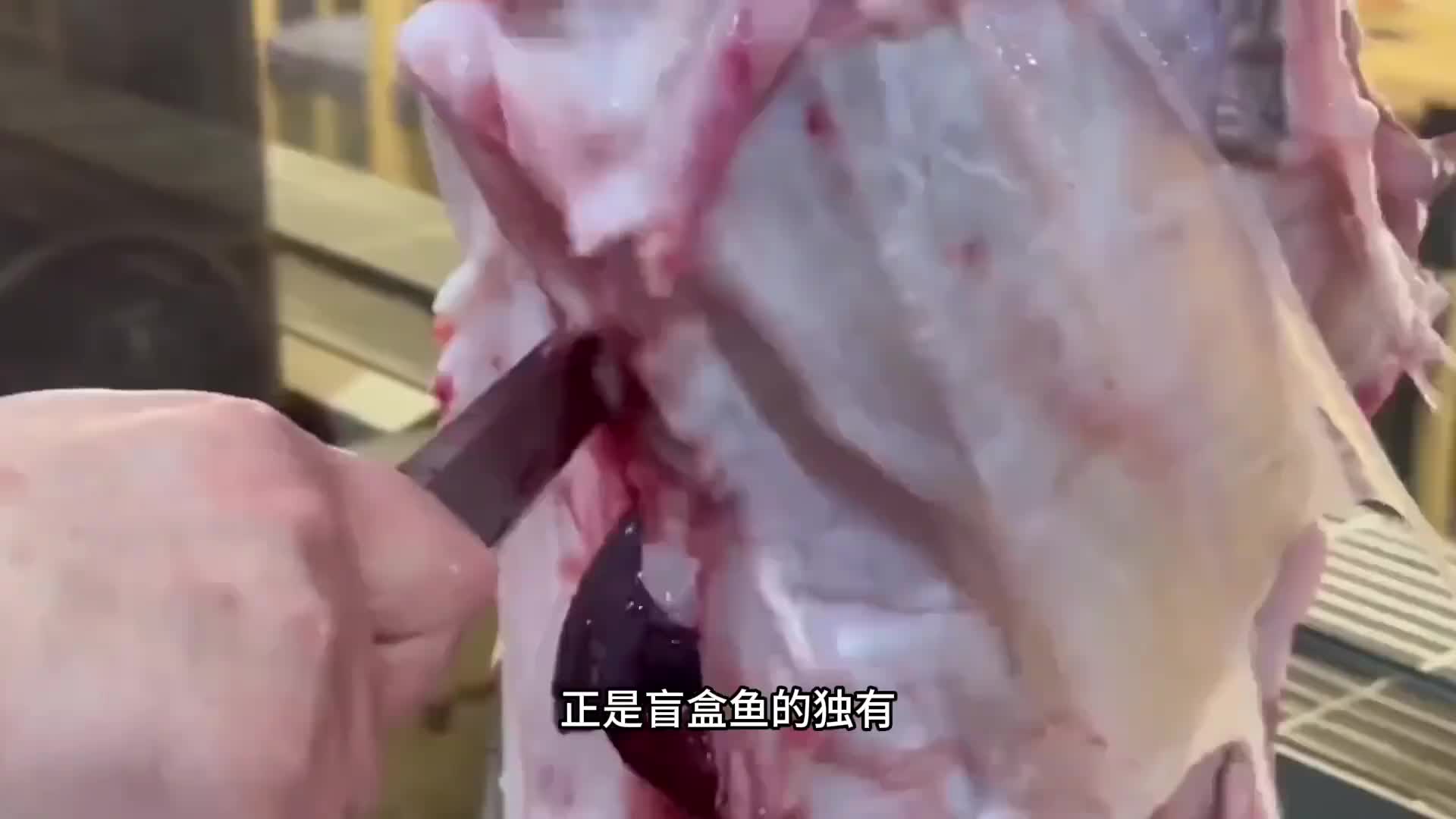 盲盒鱼大肚子里满是好货，有时候还能赚翻。
