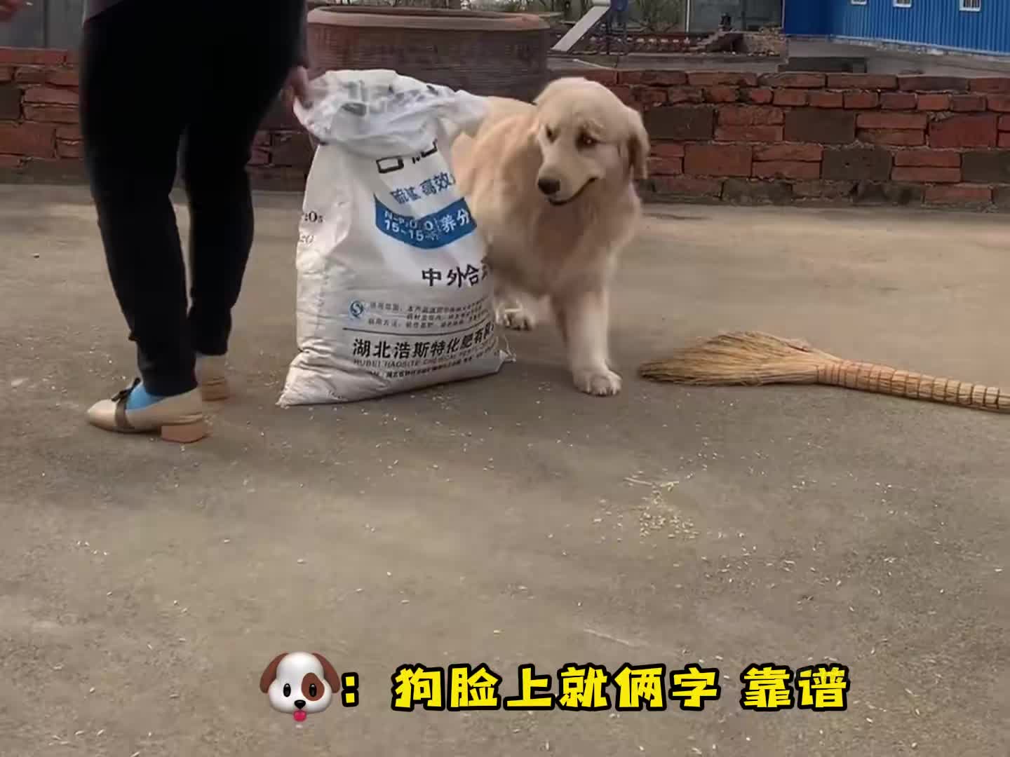 这个家没我早散了~