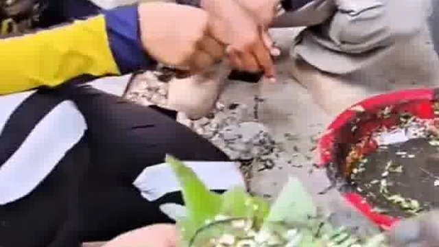 我都不知道怎么说  ​