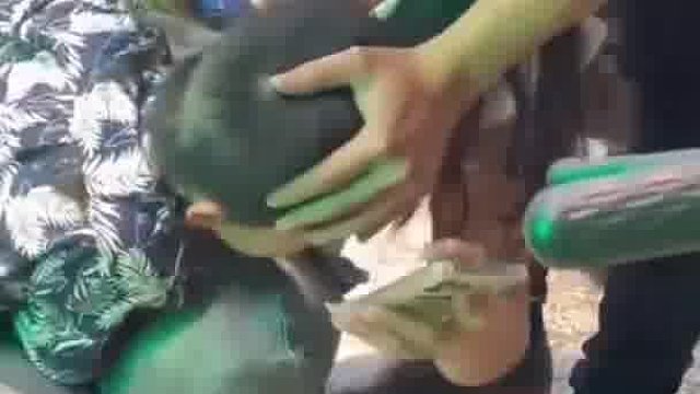 理发师对，就这样趴着别动