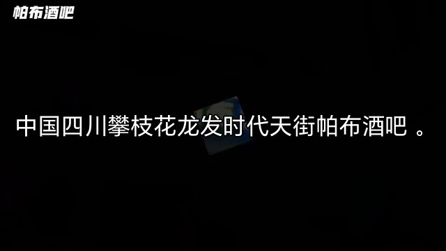 中国四川攀枝花龙发时代天街帕布酒吧