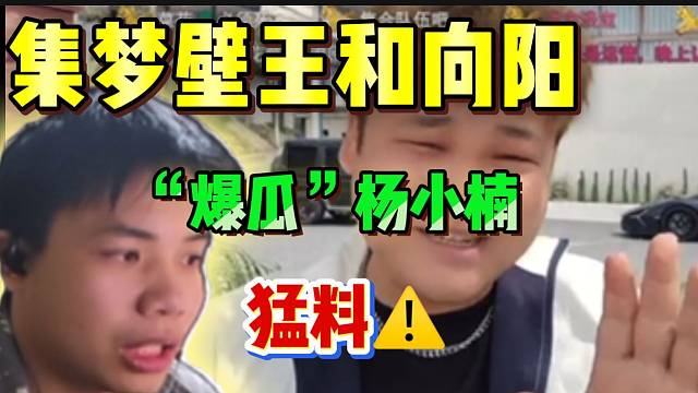 集梦壁王与向阳“爆瓜”杨小楠，直播间节奏瞬间起飞！