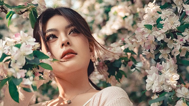 满树海棠开，春风踏香来。
​