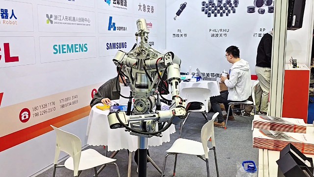 人形机器人本体