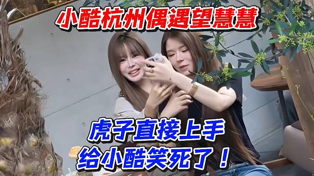 小酷杭州偶遇望慧慧！虎子直接上手给小酷笑死了