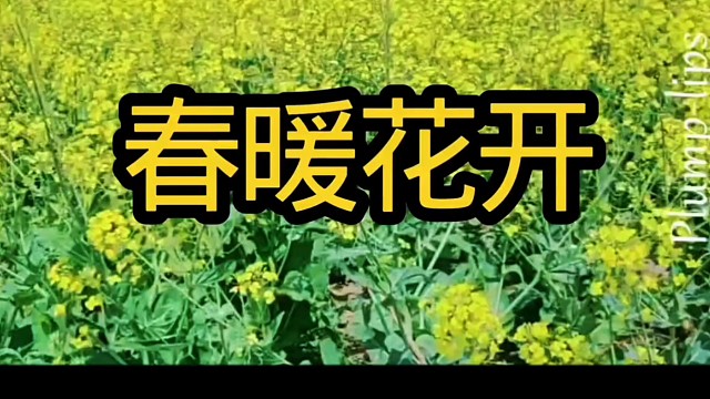 踏青