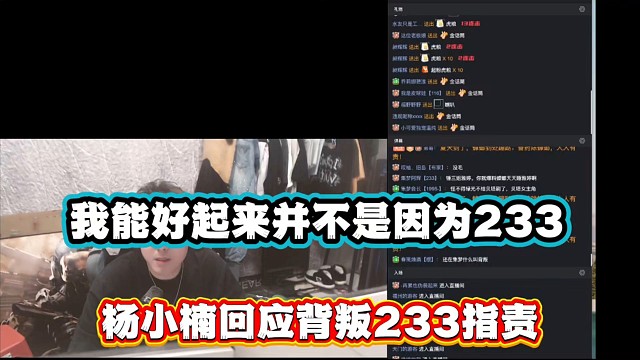我能好起来并不是因为233，杨小楠回应背叛233指责！