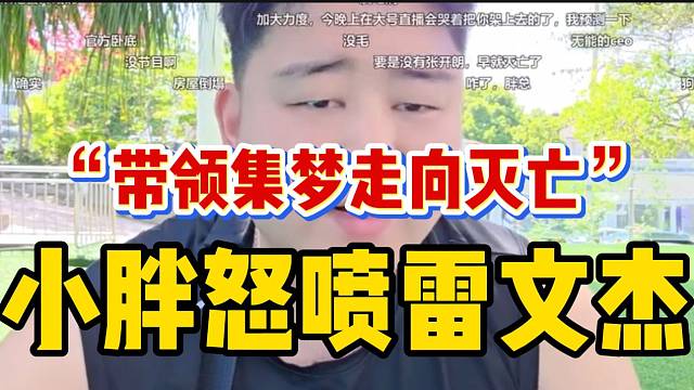 集梦小胖怒喷雷文杰！并表示是她让集梦走向“灭亡”！