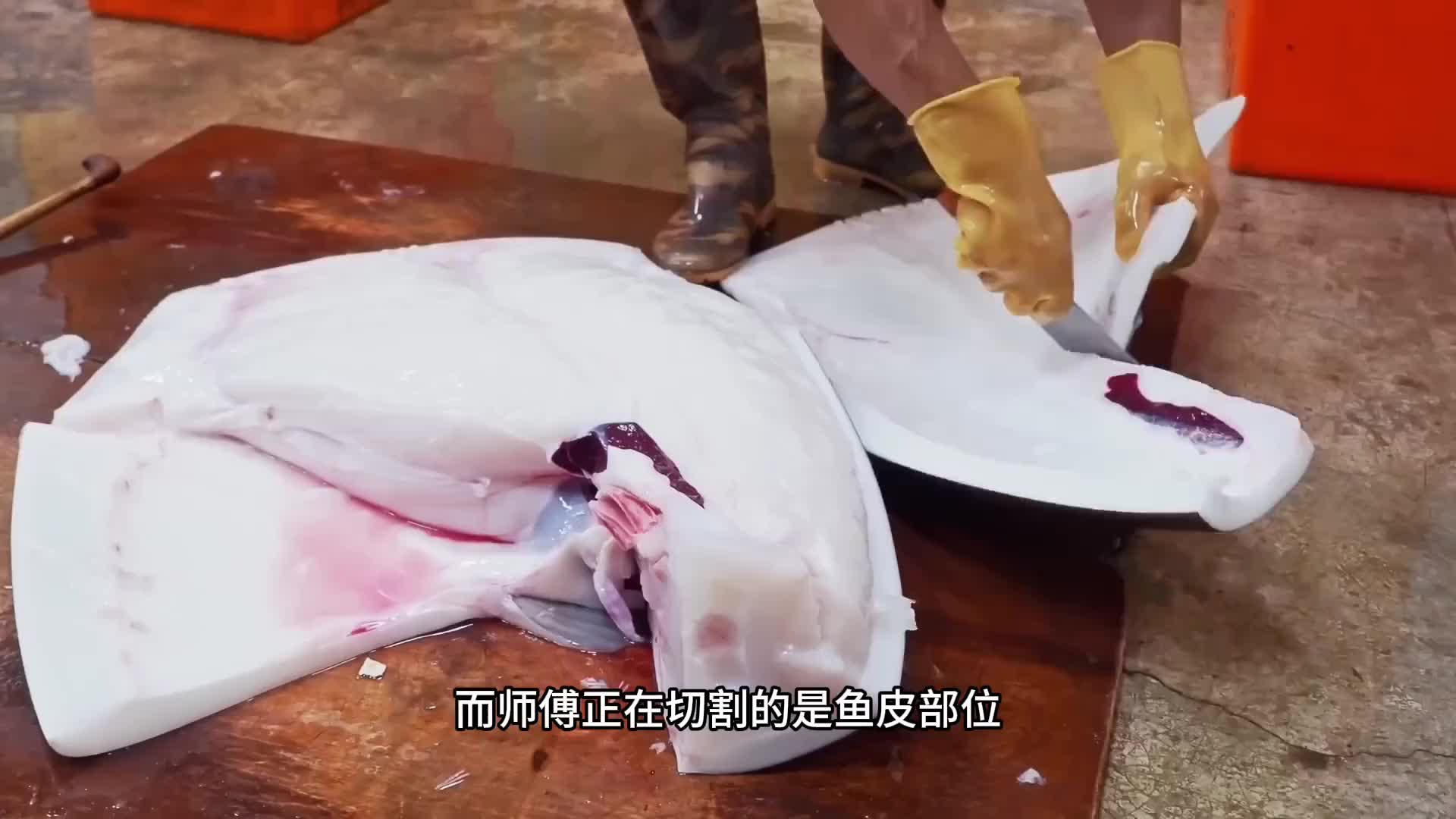 为了不被吃掉它把自己进化成呆萌可爱的模样，白灼起来就像凉皮。