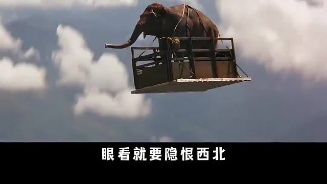 大象空中跳伞，结果遇到倒灶的一幕