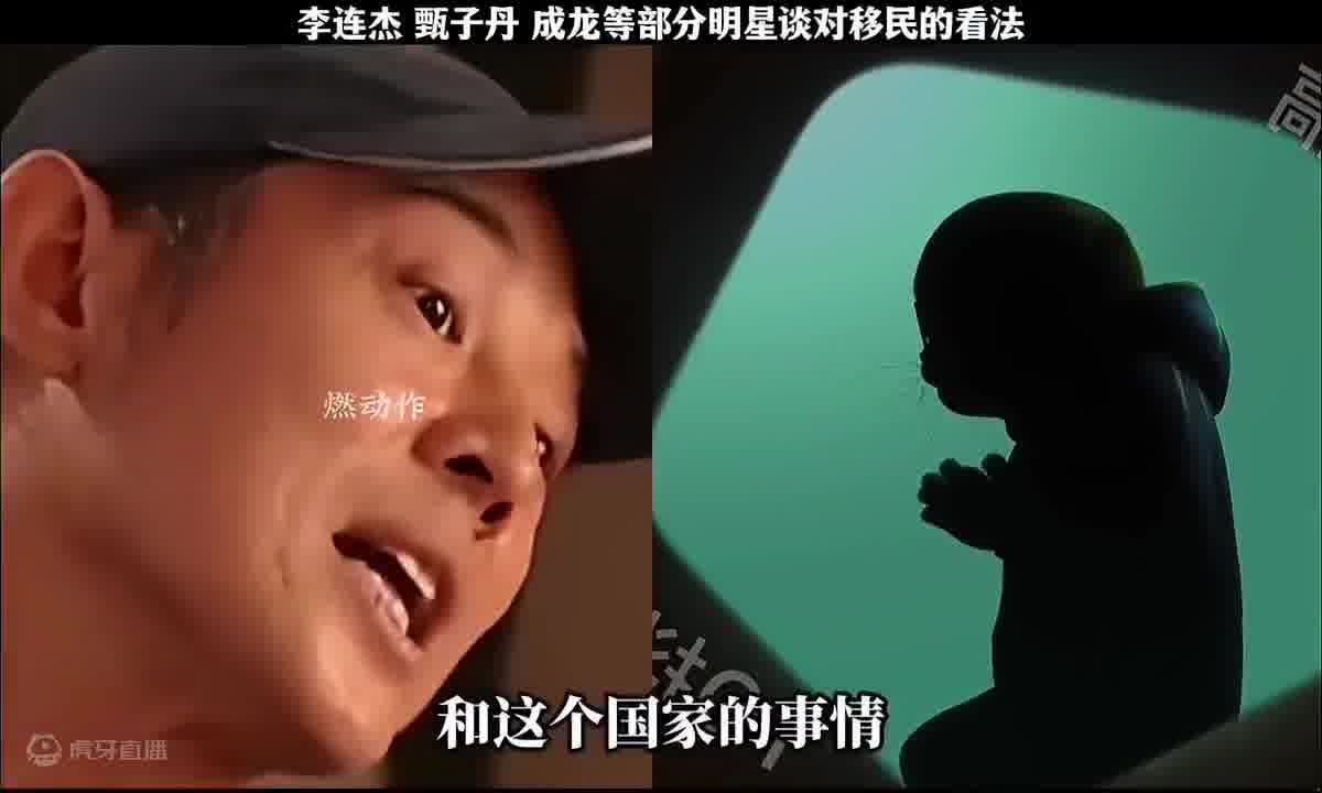 黄貔天降财神猫