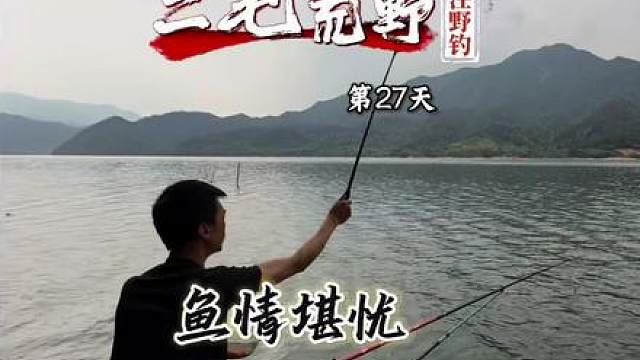 美人鱼百万巨物挑战赛第27天 尝遍各种钓法都不行，这鱼情太难了