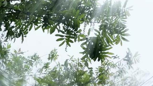 i人高质量独处，是最小单位的充能方式