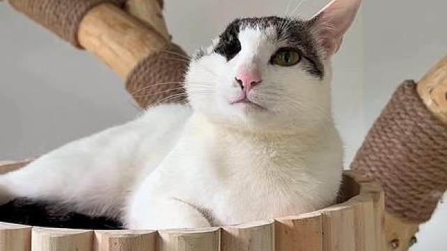 幸好我能碰到你