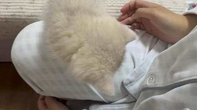 （他家很不错） 就必须立别人身上