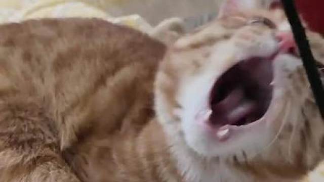 其实我热情似火