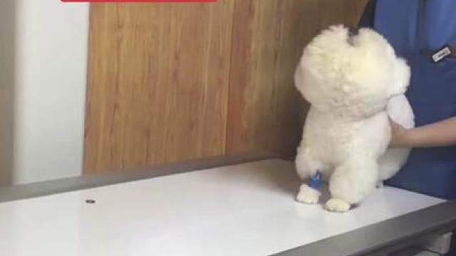 年纪大了干什么都心酸 反抗无果还被翻霉豆腐一样翻来翻去