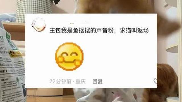 不知道鱼摆摆这首歌一出 会有多少人循环播放