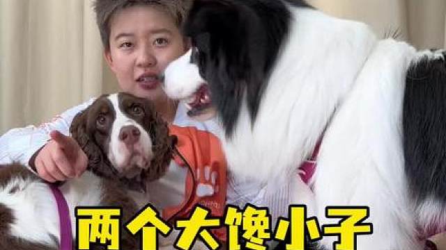 停子弟新结交的好兄弟