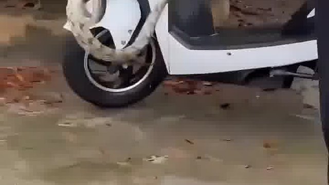 高手在民间