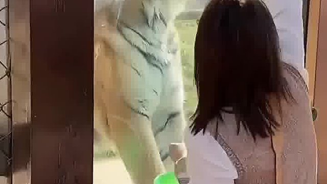 期望越大失望越大