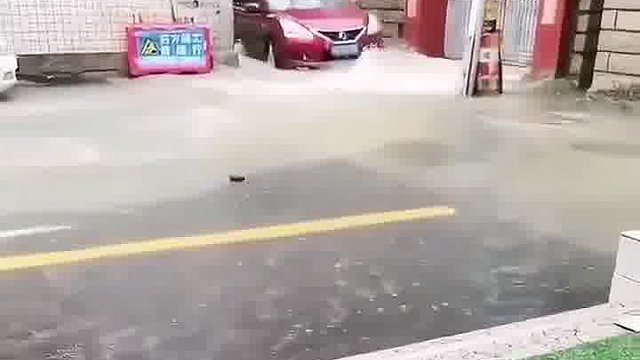 这小子真损啊
