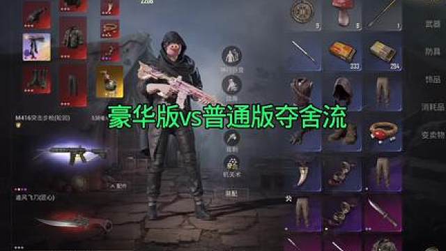 不管那个普通还是豪华能夺就行