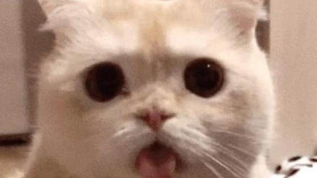 中国玩家双手支持的一集来了！