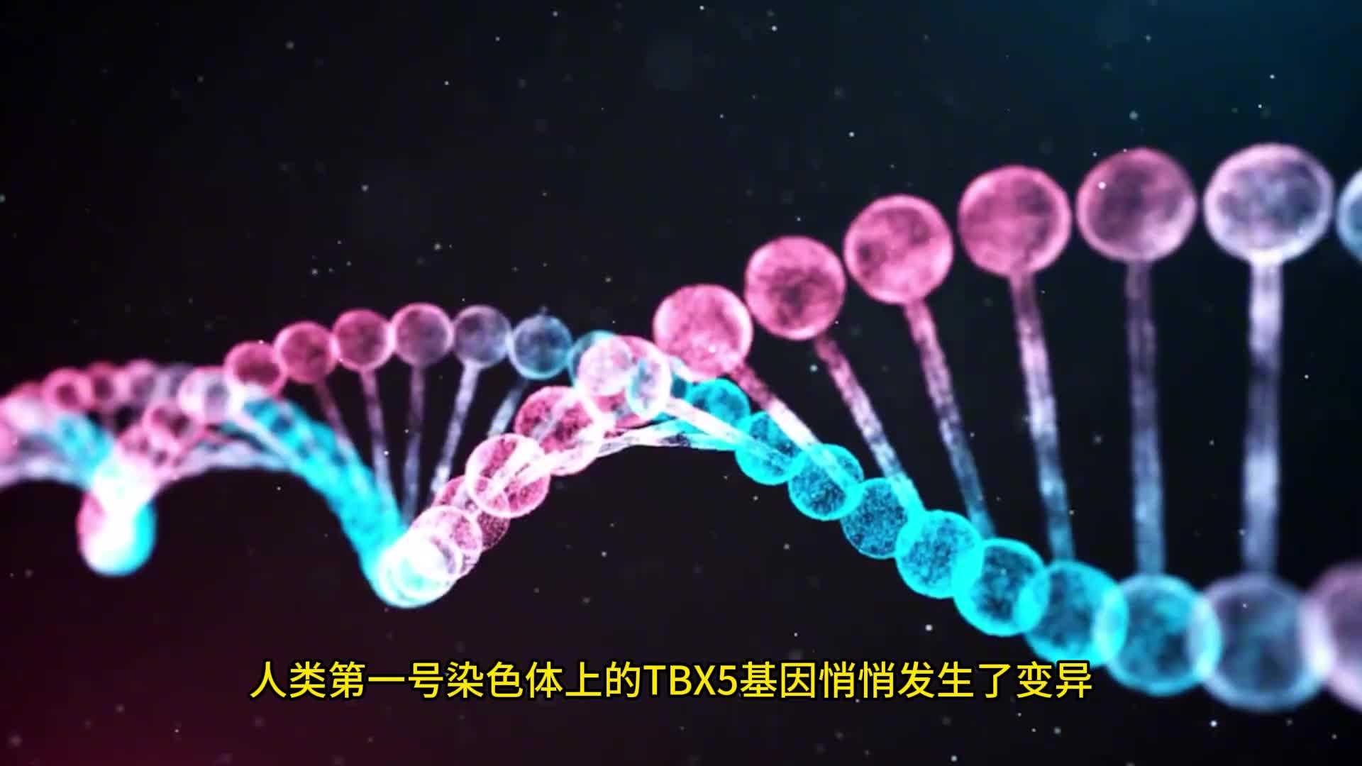 为什么人类没有丁丁骨 为什么人类是地球上极少数没有丁丁骨的哺乳动物，却偏偏进化出了一套全宇宙最复杂的情感系统？一根骨头的消失，可能是人类走向文明最关键的一张多米诺骨牌。