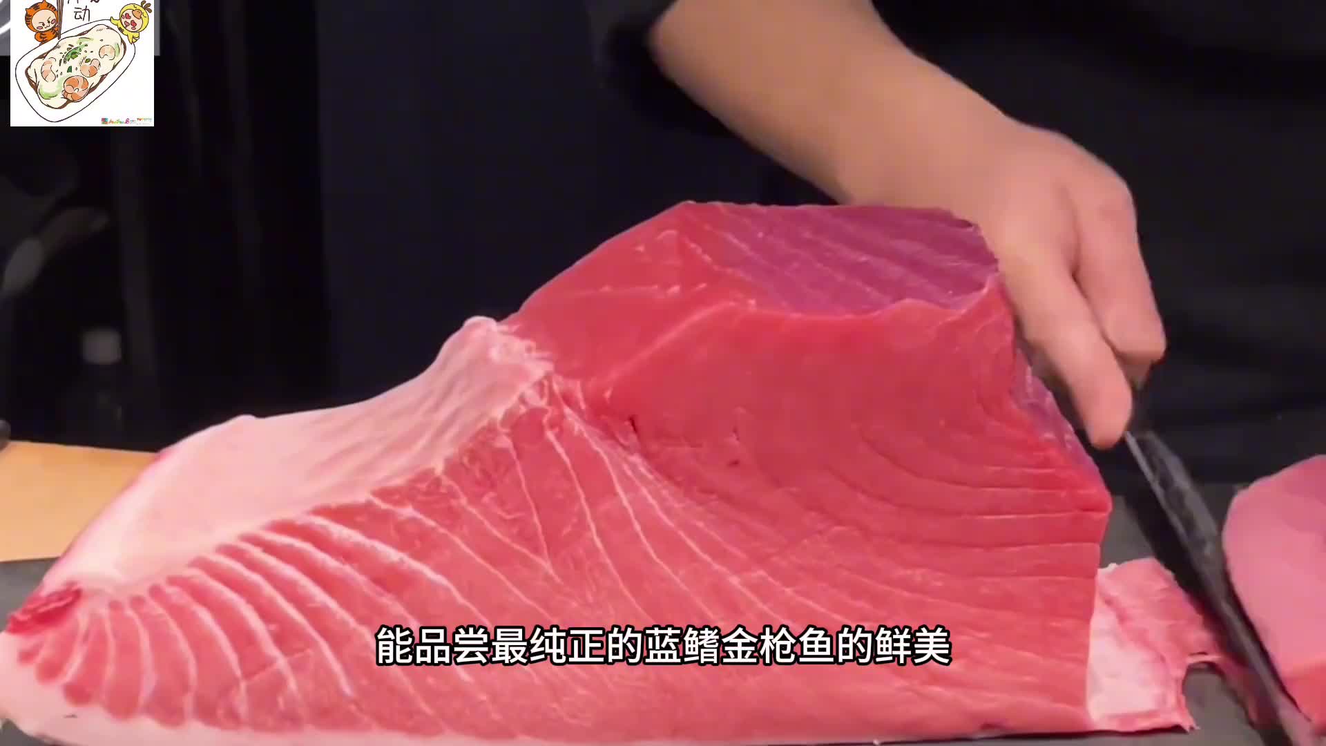 上乘的蓝鳍金枪鱼大腹部位有多抢手吗，就一块都能买一辆凯美瑞