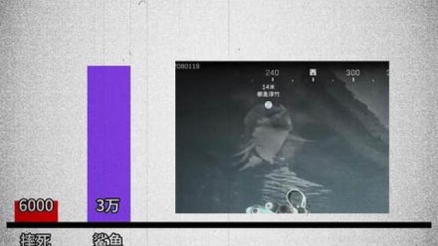 阿萨拉小兵：？？