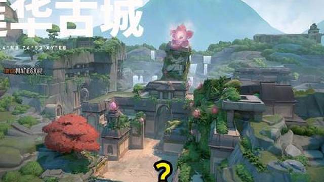 雷滋你为啥不跟我双排