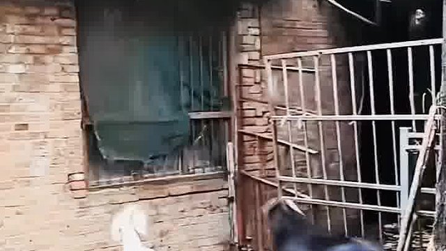 肯定不是第一次了